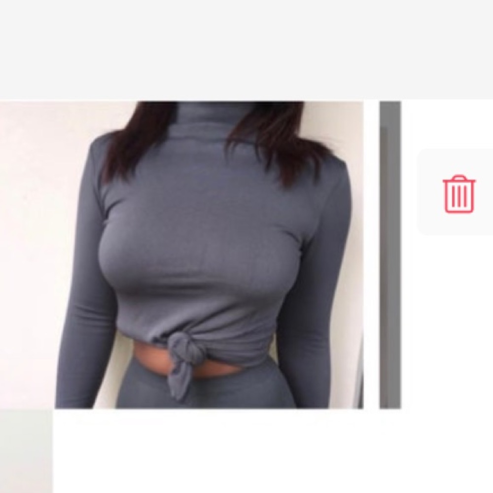 Babes and Felines Gray Turtleneck Crop Top